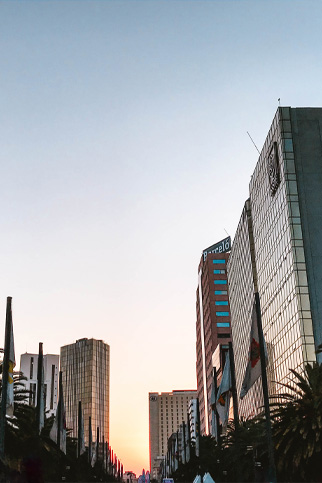 Tangentia | Contact Us