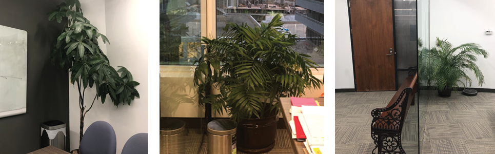 Tangentia | COVID-19: here's what's happening at Tangentia Tangentia | COVID-19: here's what's happening at Tangentia